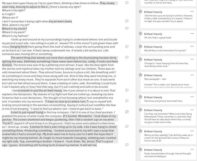 Professional Literary Developmental Editing